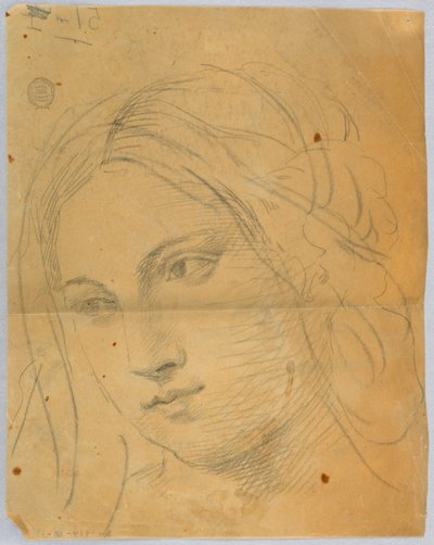 Sketch of Woman