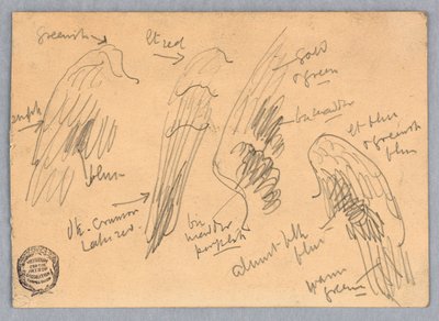 Sketches of Wings by Francis Augustus Lathrop