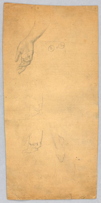 Studies of Hands and a Foot by Francis Augustus Lathrop