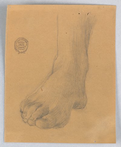 Study of Right Foot by Francis Augustus Lathrop
