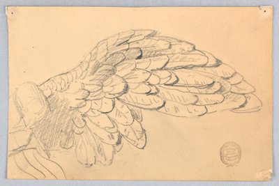 Study of a Wing by Francis Augustus Lathrop