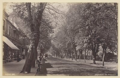 Cheltenham, the Promenade by Francis Bedford