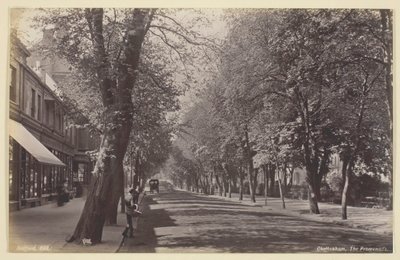Cheltenham, the Promenade by Francis Bedford