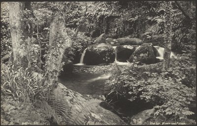 Glen Lyn, Stream and Foliage by Francis Bedford