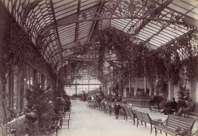 Ilfracombe, The Victorian Promenade by Francis Bedford
