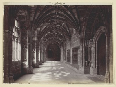 Untitled by Francis Bedford