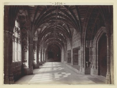 Untitled [Cloisters] by Francis Bedford