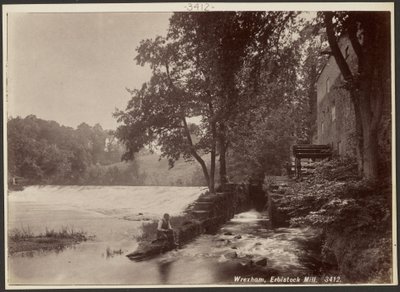 Wrexham, Erbistock Mill by Francis Bedford