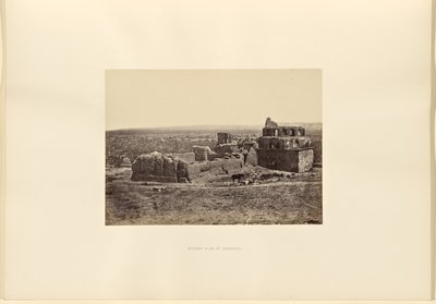 Distant View of Damascus by Francis Frith
