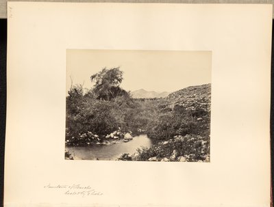 Fountain of Jericho, Healed by Elisha by Francis Frith