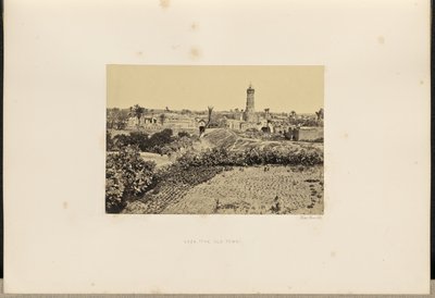 Gaza (The Old Town) by Francis Frith