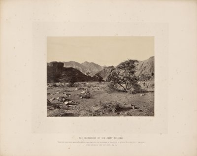 The Wilderness of Sin (Wady Shellal) by Francis Frith