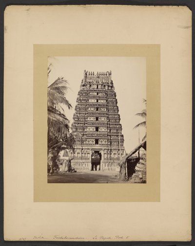 Trickaleecoondrum, The Pagoda, Gate E by Francis Frith