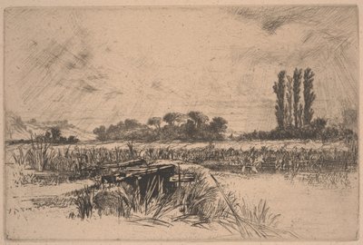 A Water Meadow by Francis Seymour Haden