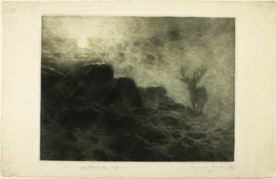 An Early Riser by Francis Seymour Haden