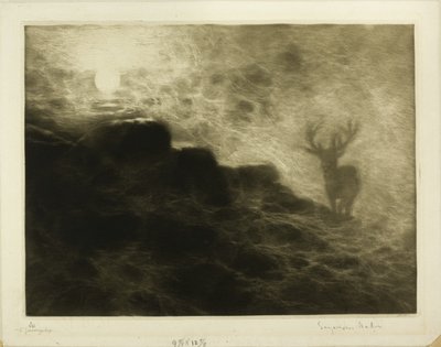 An Early Riser by Francis Seymour Haden