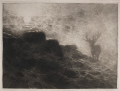 An Early Riser by Francis Seymour Haden