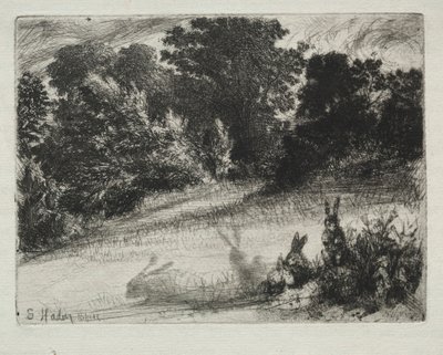 Combe Bottom by Francis Seymour Haden
