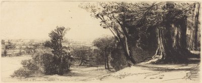 Early Morning - Richmond by Francis Seymour Haden