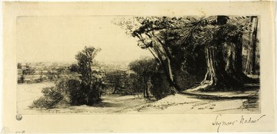 Early Morning, Richmond Park by Francis Seymour Haden
