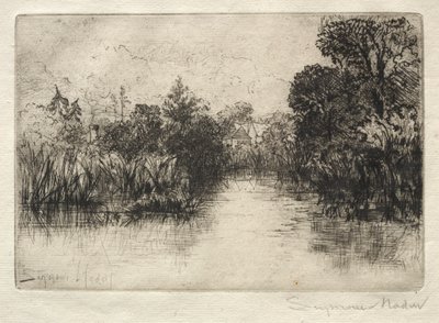 Shere Mill Pond (A Small Study) by Francis Seymour Haden