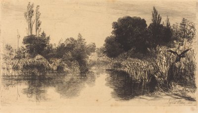 Shere Mill Pond (The Larger Plate) by Francis Seymour Haden
