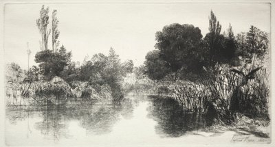 Shere Mill Pond by Francis Seymour Haden