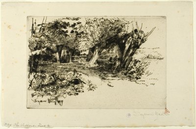 The Willows by Francis Seymour Haden