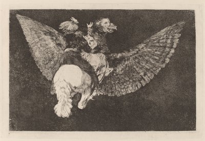 Flying Folly by Francisco de Goya