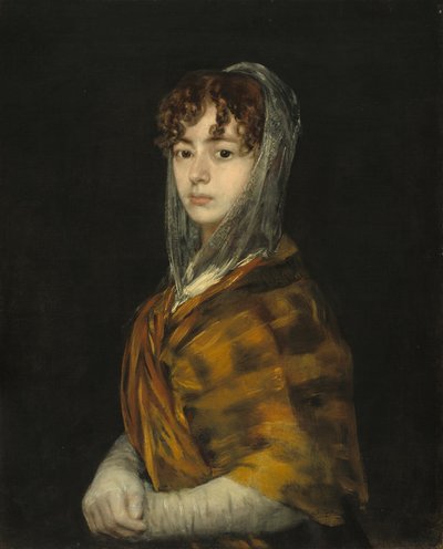 Señora Sabasa Garcia by Francisco de Goya