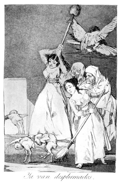 There They Go, Plucked, 1799 by Francisco de Goya