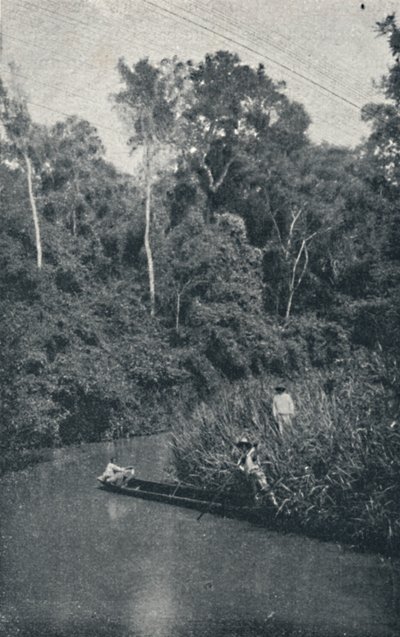 Rio de S. Anastacio by Francisco Henszler