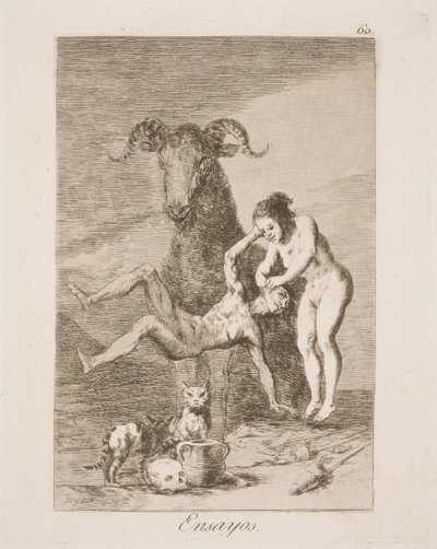 Experiment by Francisco de Goya