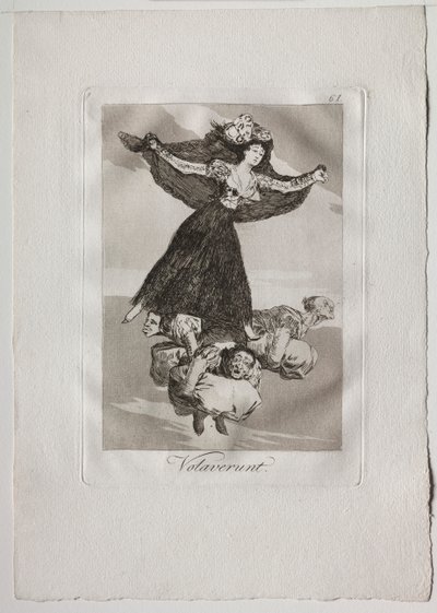 Eighty Caprices: They Have Flown by Francisco de Goya