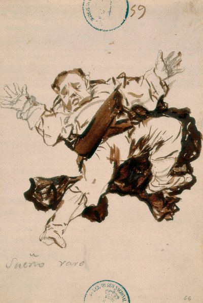 Strange Dream by Francisco de Goya