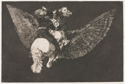 The Proverbs: Flying Folly by Francisco de Goya
