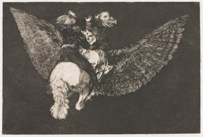 The Proverbs: Flying Folly by Francisco de Goya
