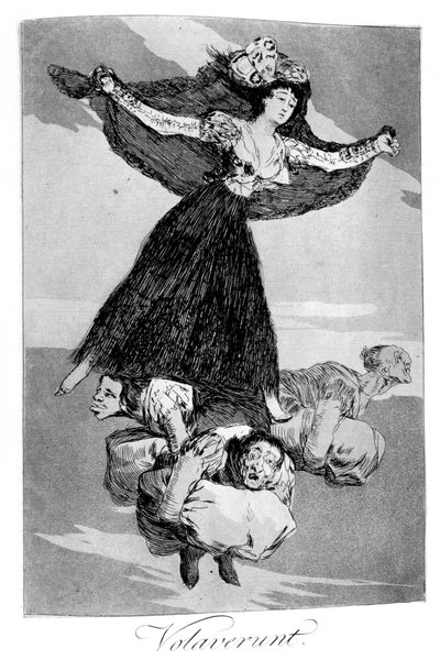 They Have Flown, 1799 by Francisco de Goya