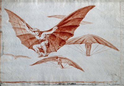 Ways of Flying by Francisco de Goya