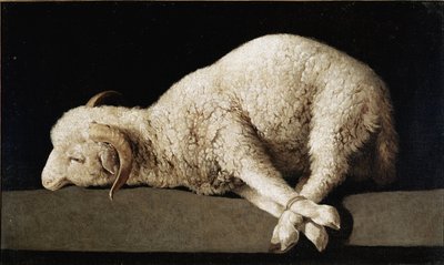 Agnus Dei by Francisco de Zurbaran
