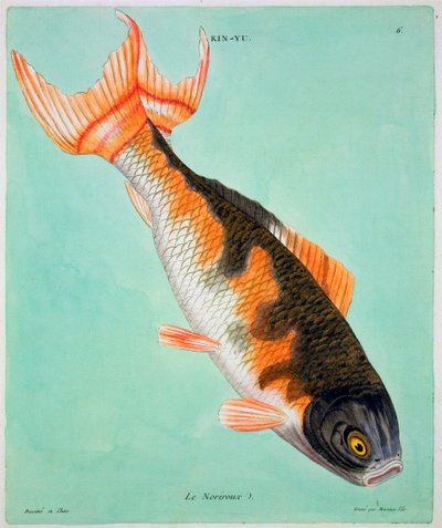 Le Noriroux by Francois Nicolas Martinet