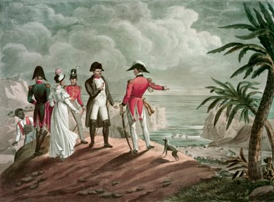 Bonaparte on St. Helena by Francois Nicolas Martinet