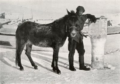 Gran With Mule Lal Khan (c. 1911) by Frank Debenham