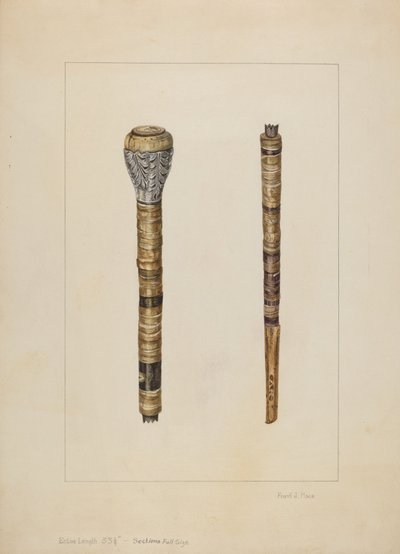 Cowhorn Cane by Frank J. Mace