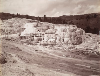 Minerva Terrace, Mammoth Hot Springs by Frank Jay Haynes