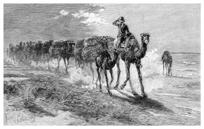 Camels carrying wool by Frank P. Mahony