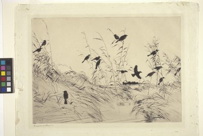 Blackbirds And Rushes by Frank Weston Benson