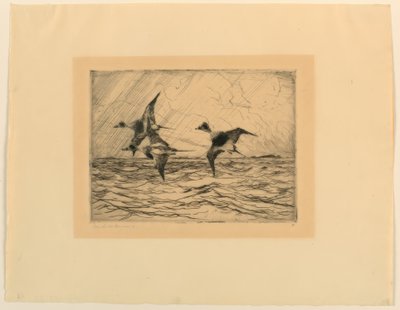 Iron Ducks by Frank Weston Benson