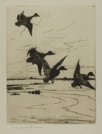 Landing Ducks by Frank Weston Benson