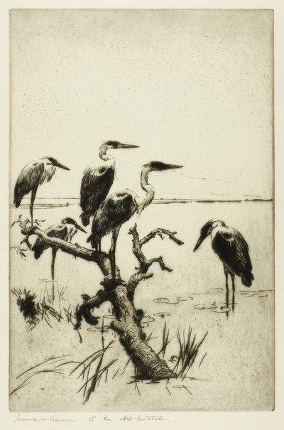 Resting Herons by Frank Weston Benson